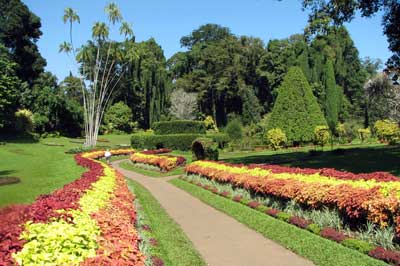 botanical gardens
