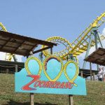 Zoomerang