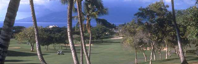 Hawaii golfing